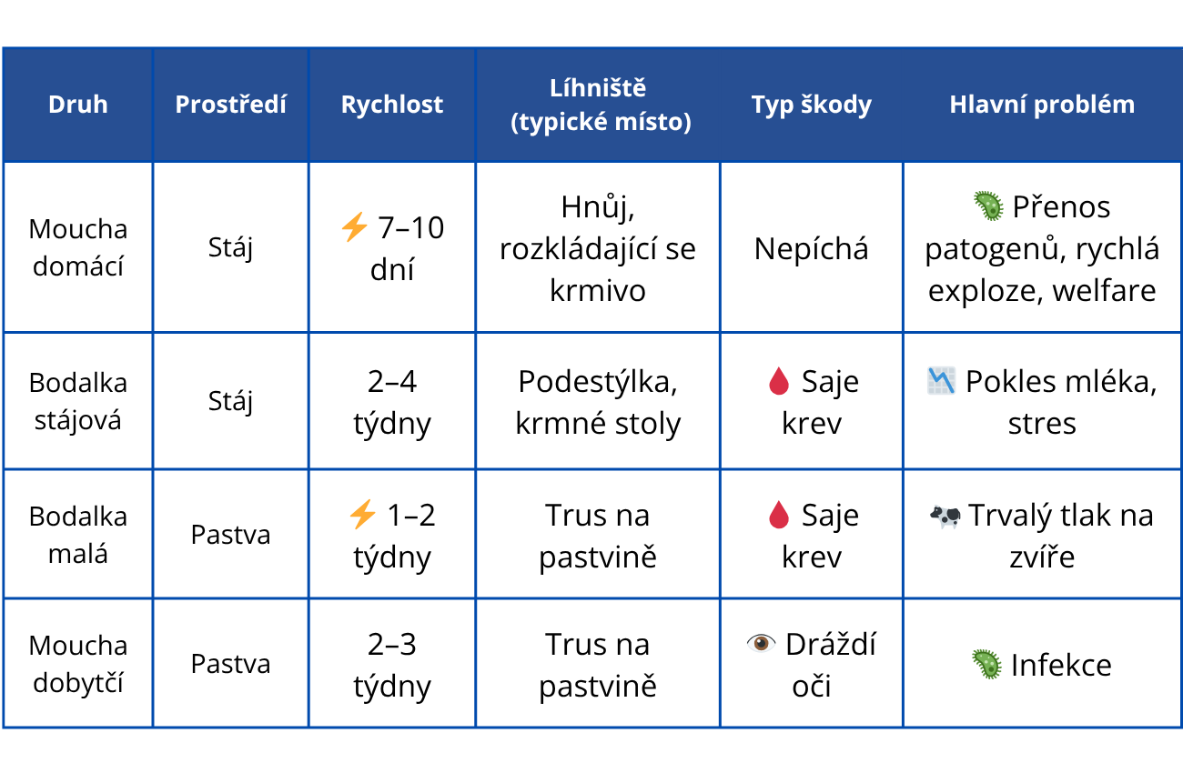 Mouchy - rozdělení
